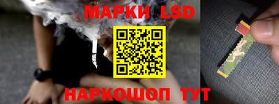 PSILOCYBIN Бугуруслан