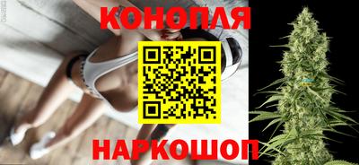 PSILOCYBIN Бугуруслан