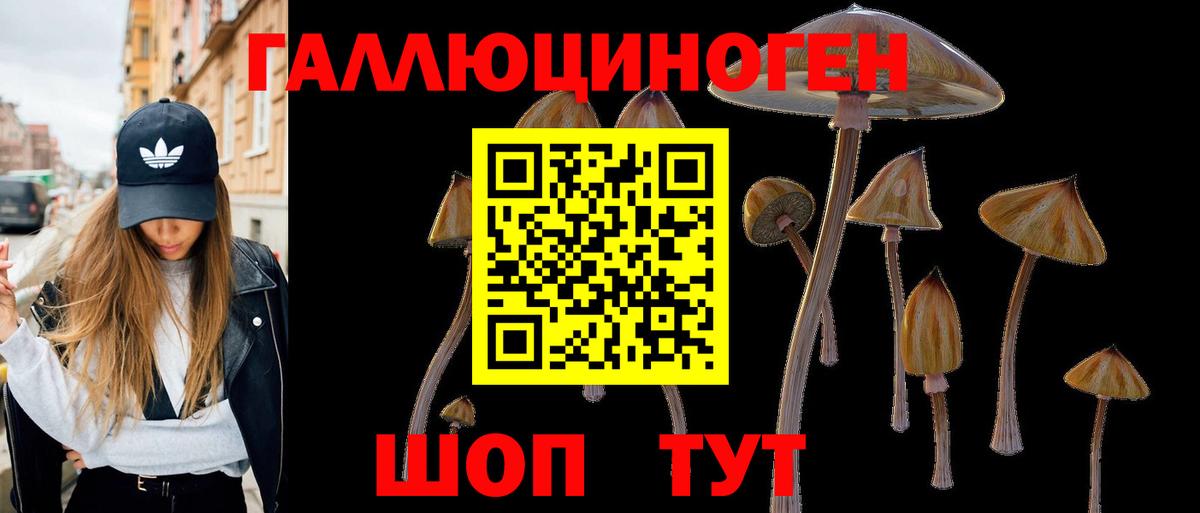 Псилоцибиновые грибы Cubensis Новокузнецк